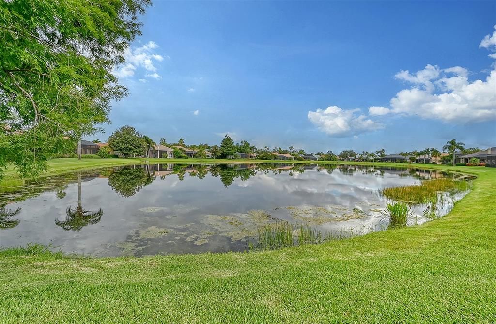 For Sale: $1,350,000 (4 beds, 3 baths, 3174 Square Feet)