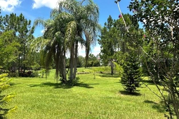 На продажу: $997,000 (3 спален, 2 ванн, 2301 Квадратных фут)