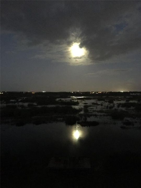 На продажу: $997,000 (3 спален, 2 ванн, 2301 Квадратных фут)