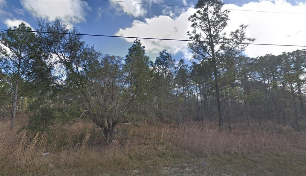 For Sale: $55,999 (0.72 acres)