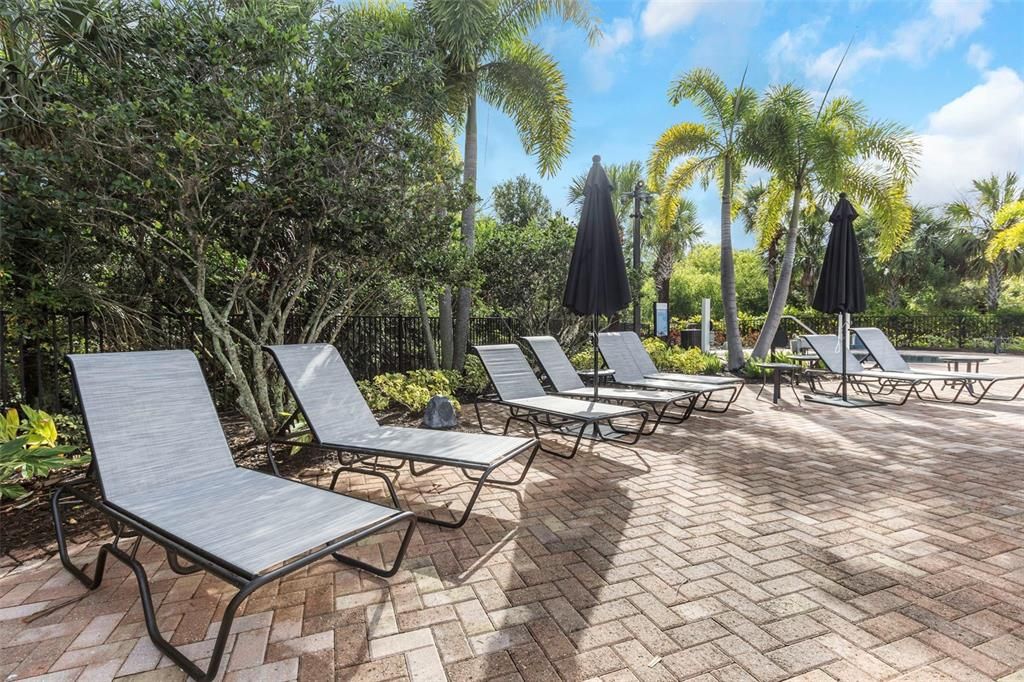 Pool chairs for relaxing