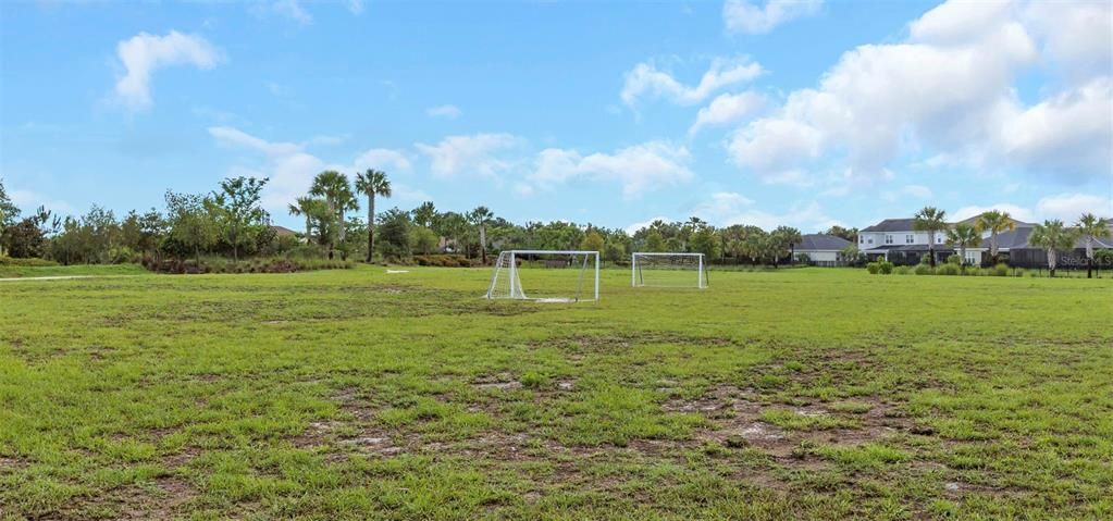 Soccer field