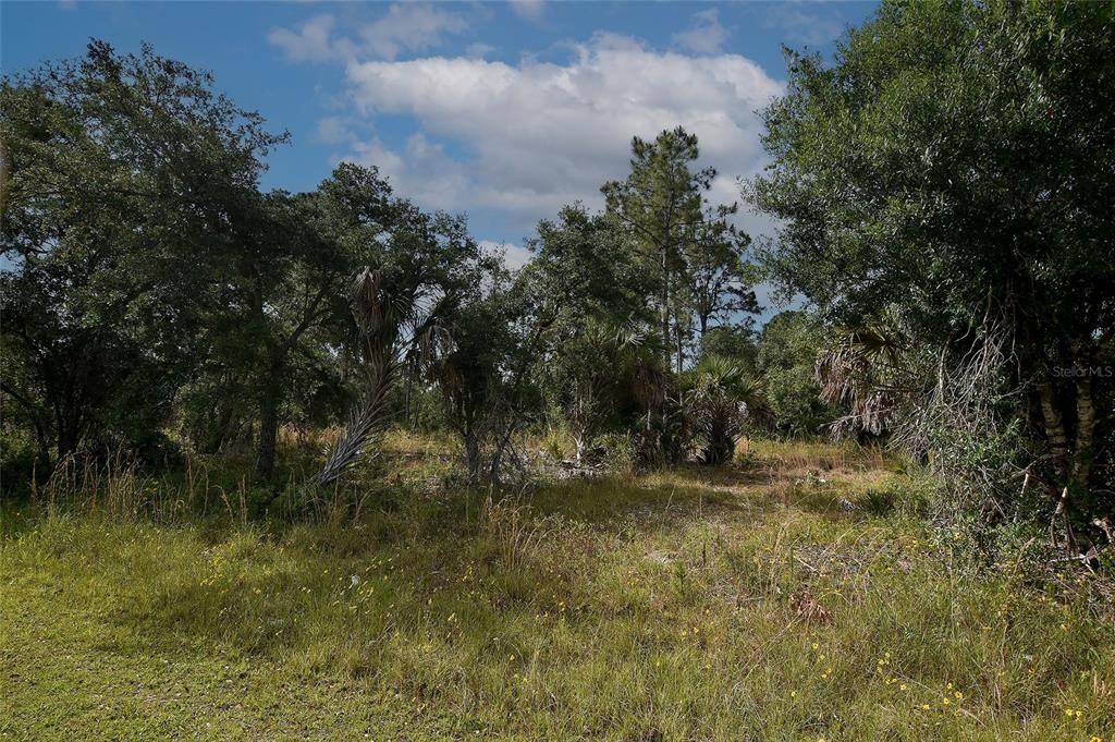 For Sale: $109,000 (1.01 acres)