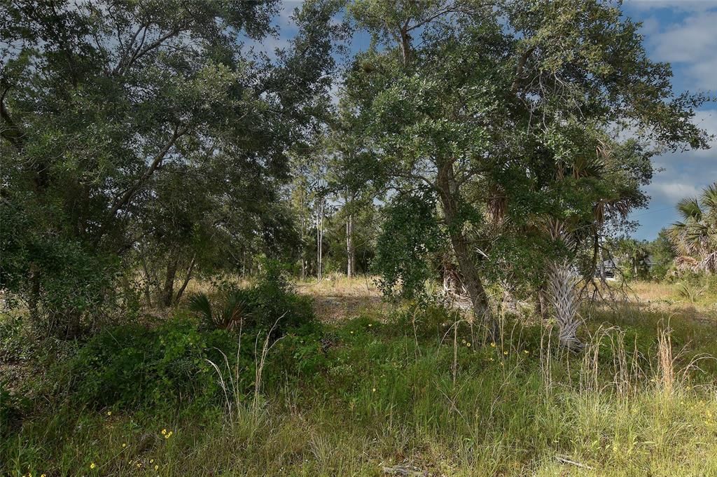 En Venta: $109,000 (1.01 acres)