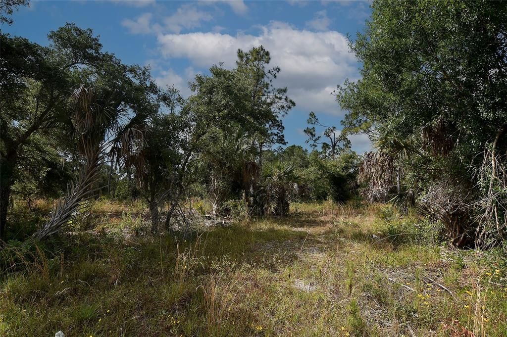 На продажу: $109,000 (1.01 acres)