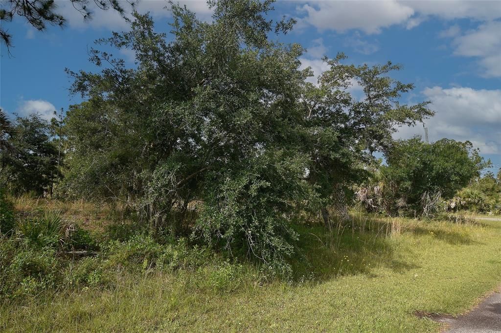 En Venta: $109,000 (1.01 acres)