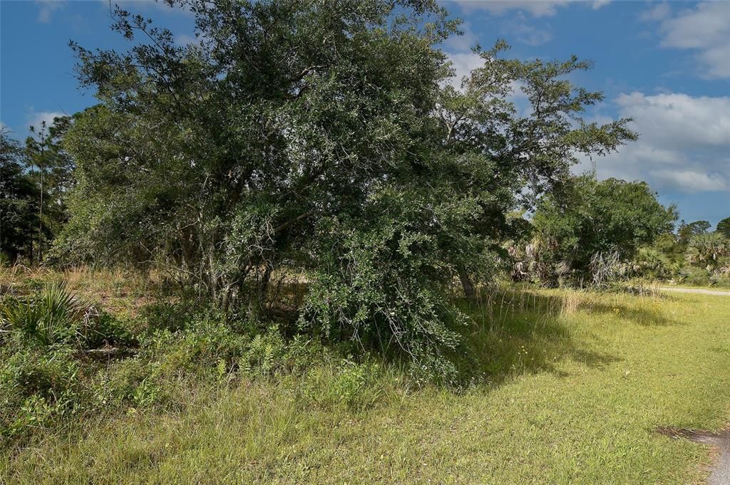 For Sale: $109,000 (1.01 acres)