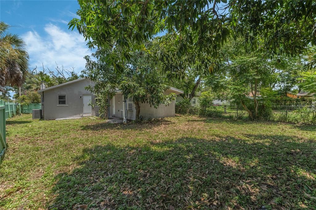 Large Backyard with Fruit Trees