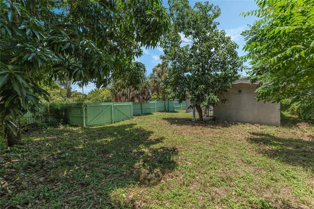 Fully Fenced Backyard with Fruit Trees