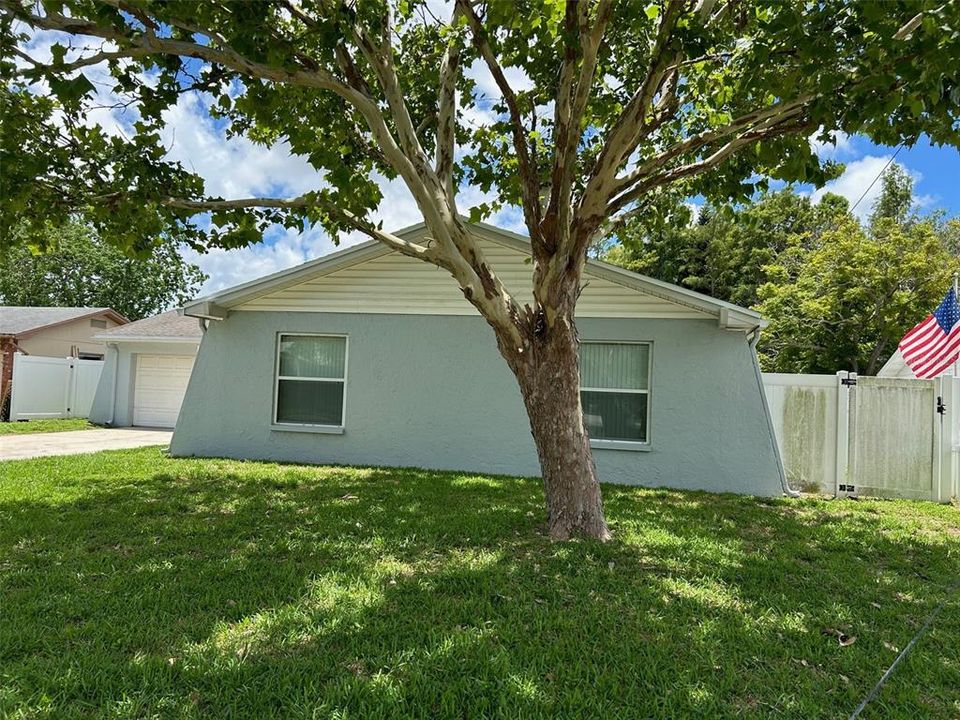 Tree shaded front of house.