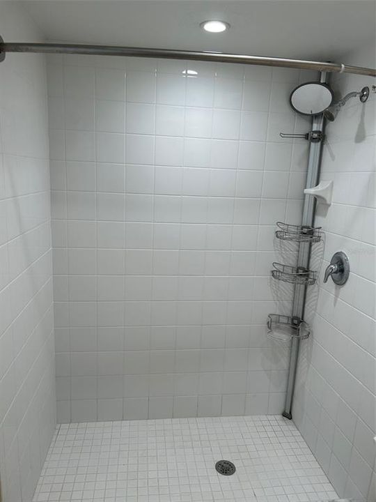 Large master shower.