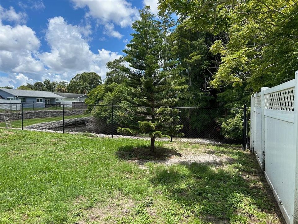 Fenced in back yard.