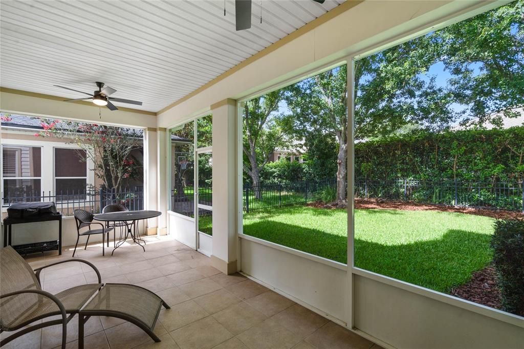 Screened back porch