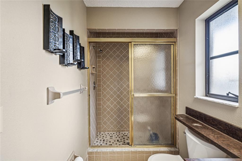 Master Bath Shower