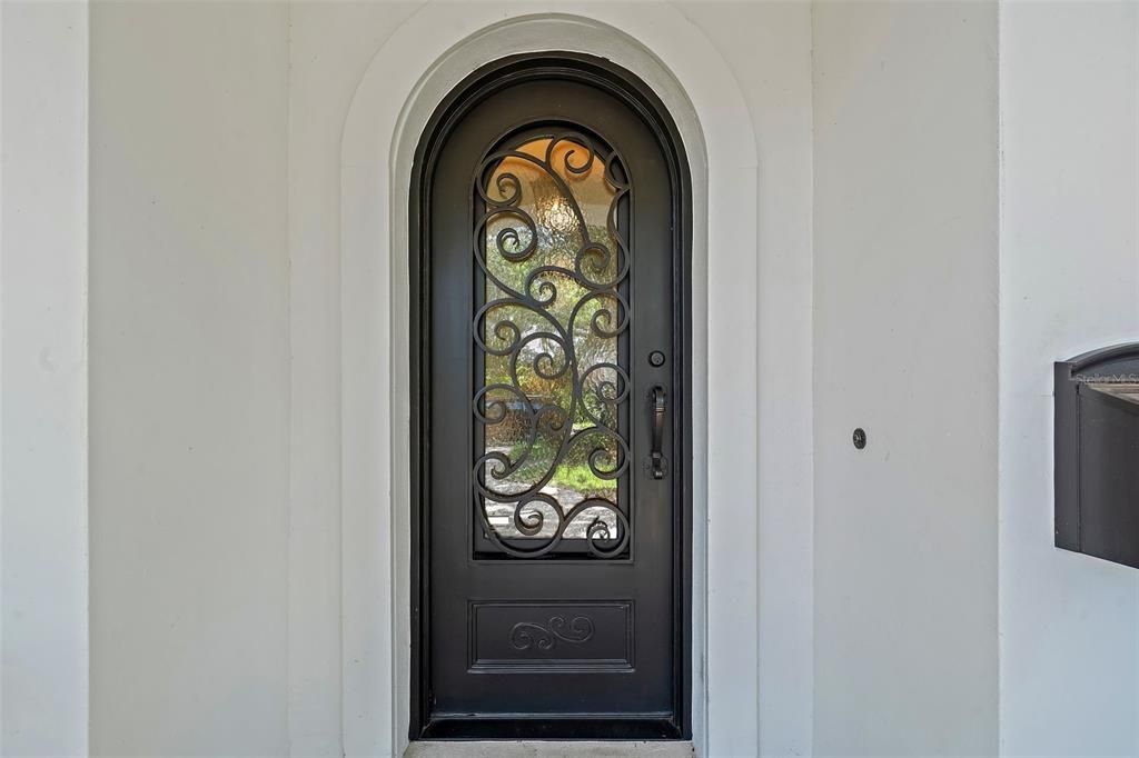 custom front door with glass and iron designs