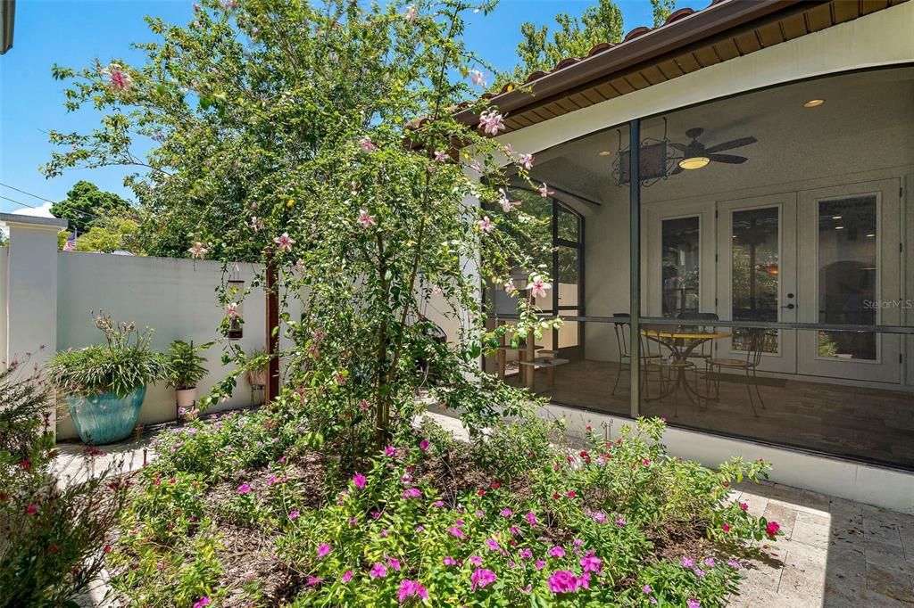 Butterfly garden courtyard