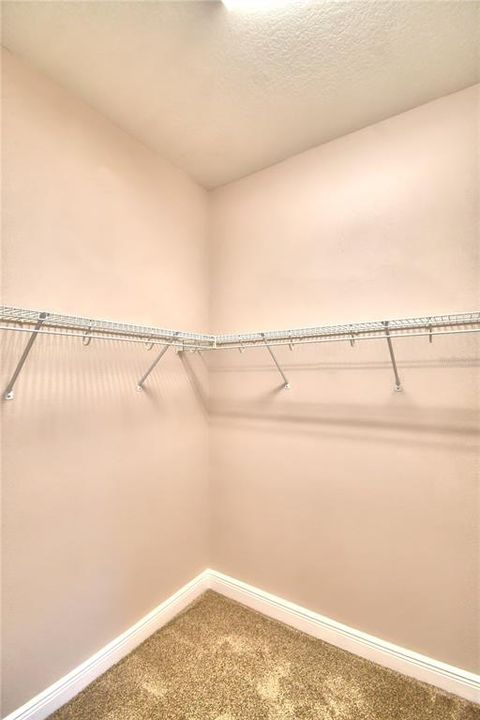 walk in closet in SW bedroom