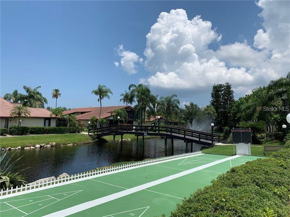 Shuffleboard courts