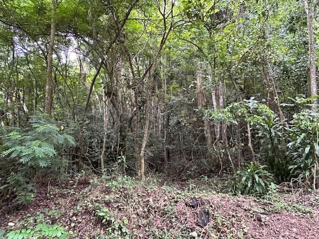 En Venta: $59,500 (0.97 acres)