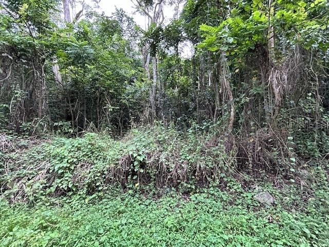 En Venta: $59,500 (0.97 acres)