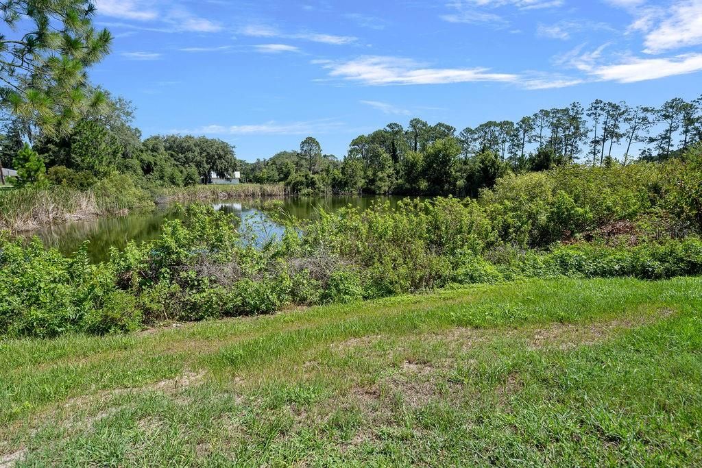 Small pond in back of property provides a great natural conservation view