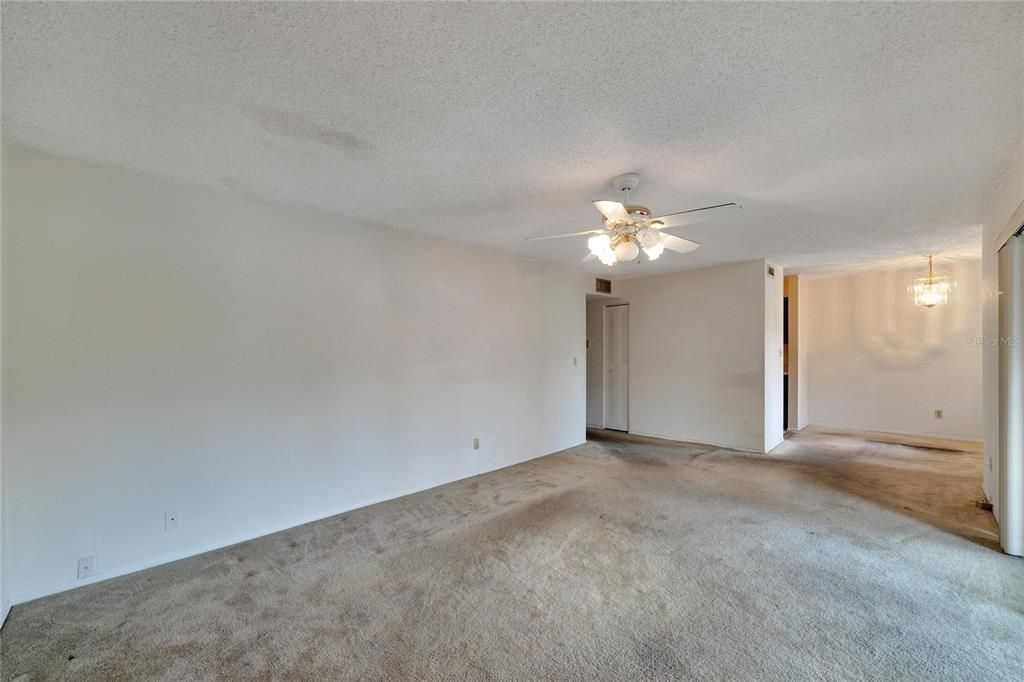 Large Livingroom/Diningroom Combo