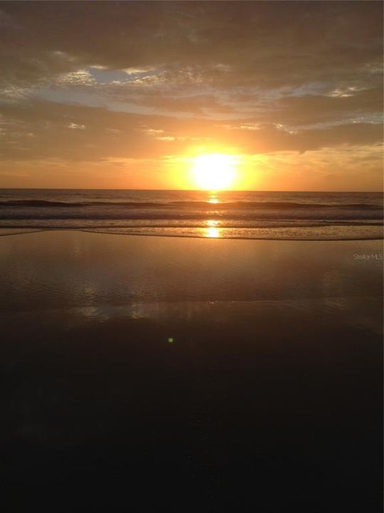 Watch the sunrise on the beach then take furbaby to collect those treasures