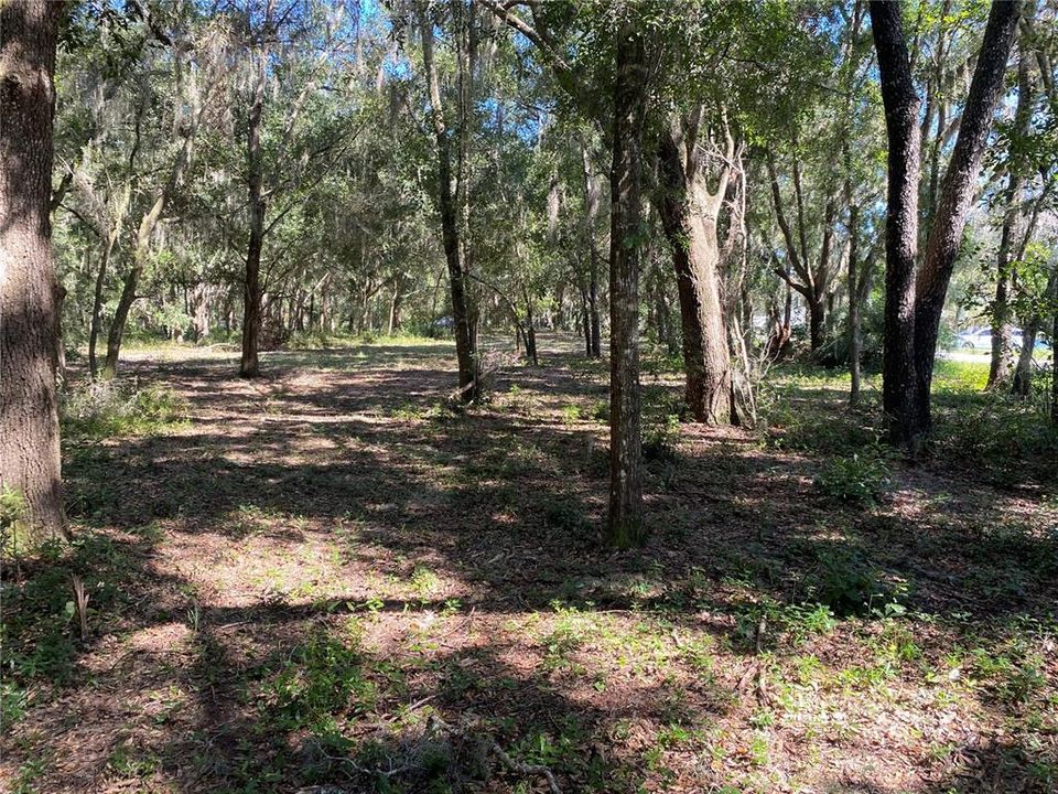 На продажу: $199,000 (2.59 acres)