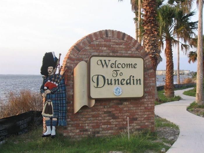 Welcome to Delightful Dunedin