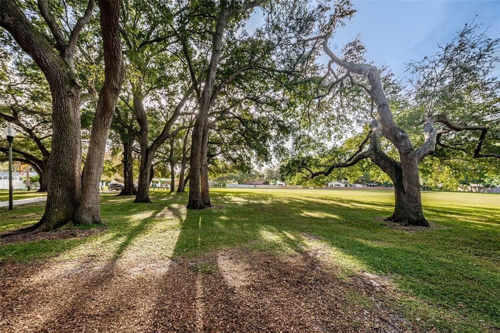 Amberlea community park within walking distance