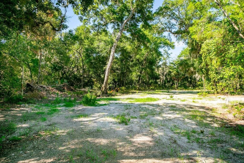 На продажу: $649,000 (5.01 acres)