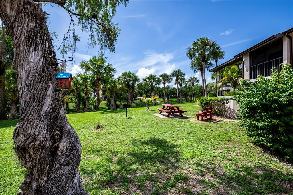 Backyard W/ Picnic Table