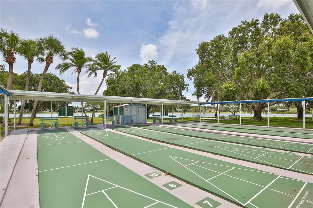 Shuffleboard Court