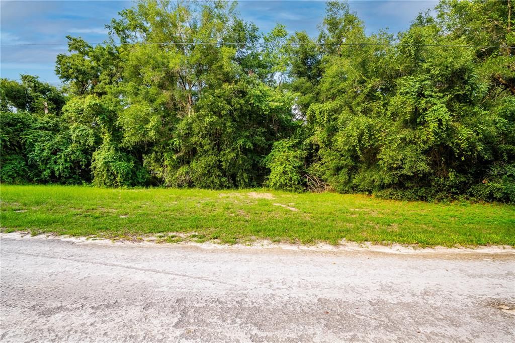 For Sale: $40,000 (1.16 acres)