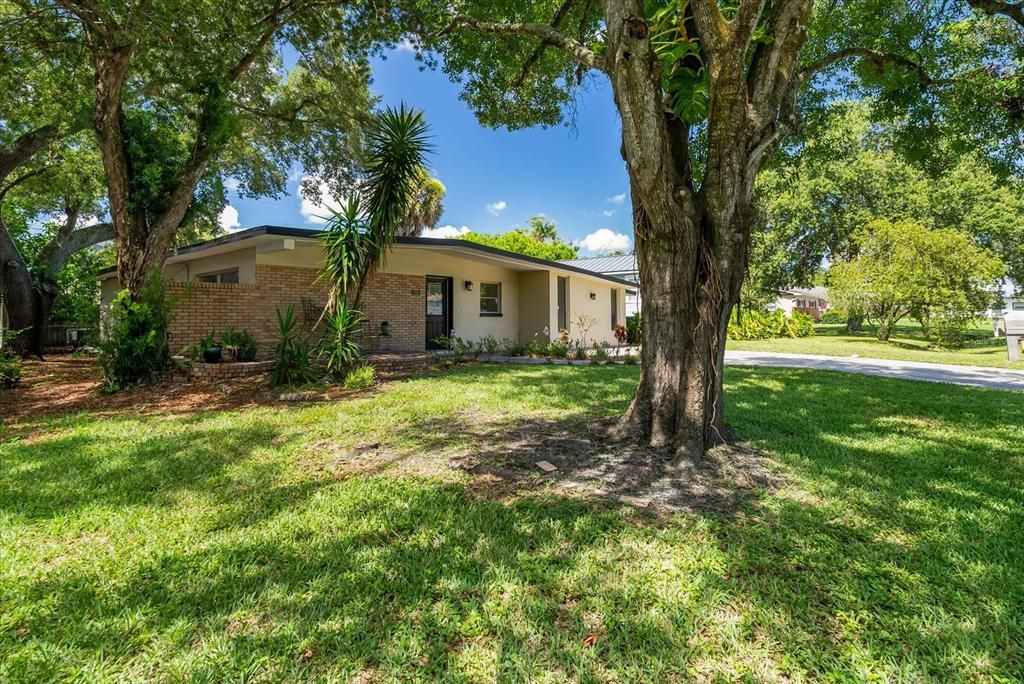 Mature Trees and Landscaping