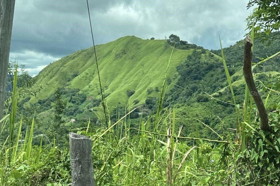 Recently Sold: $199,000 (158.00 acres)