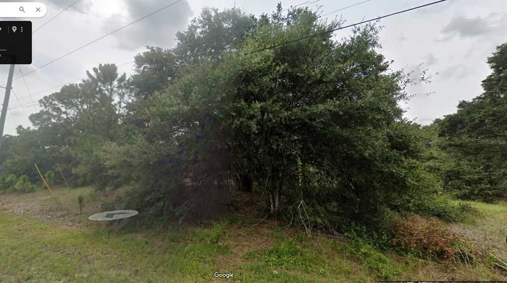 For Sale: $24,900 (0.25 acres)