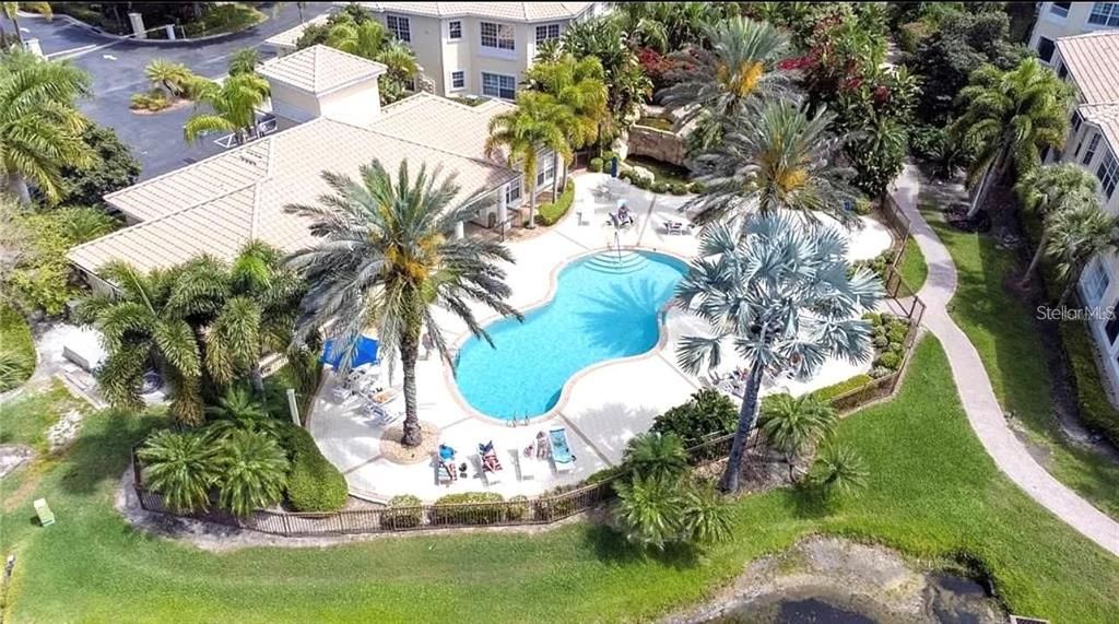 Drone view of pool