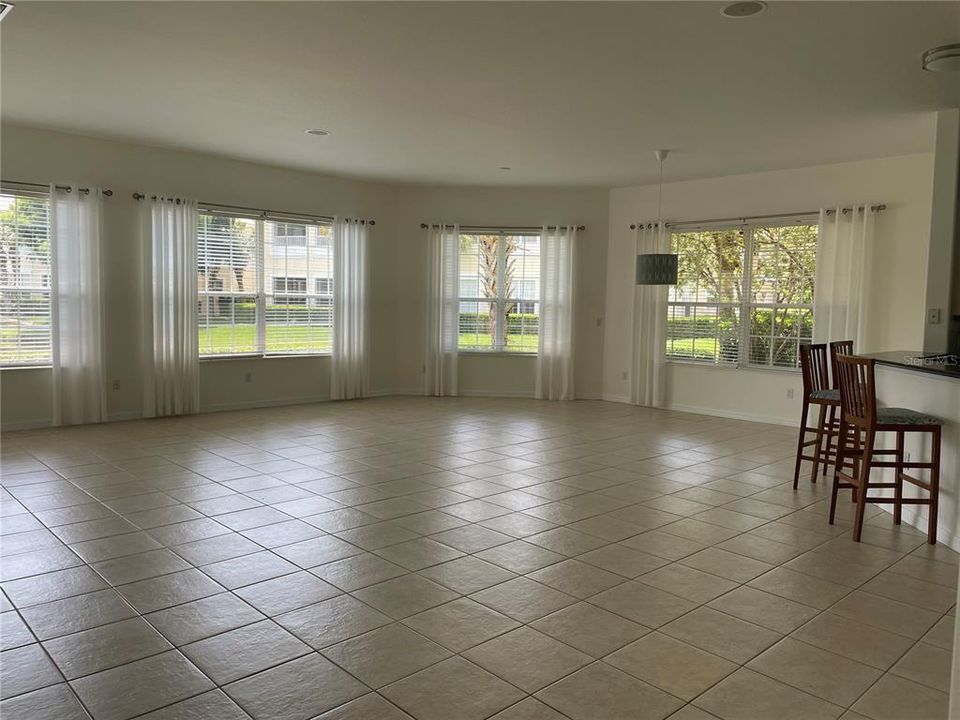 Open Living Room and Dining Room