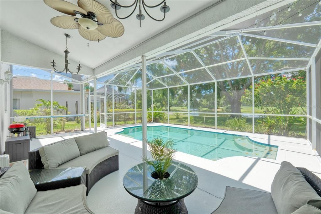 Shady space to relax by the pool