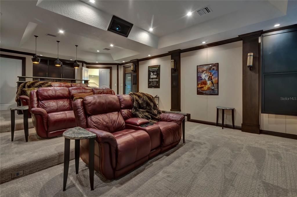 Theater with Wet Bar