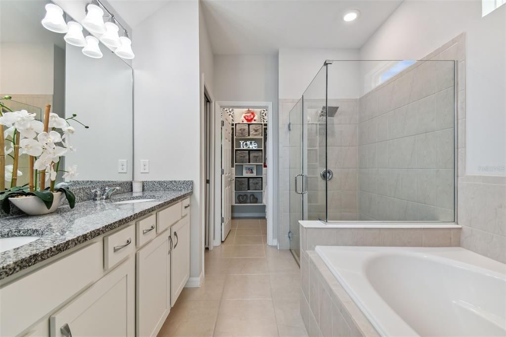Large soaker tub and walk in shower