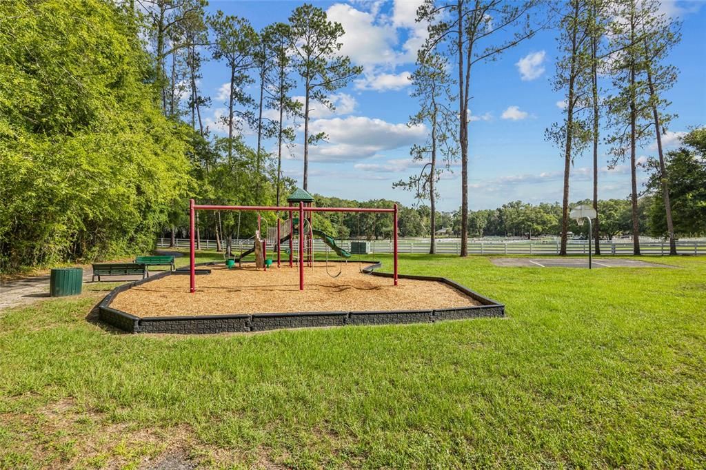 Playground and basketball half court in front of Haile Equestrian Center.