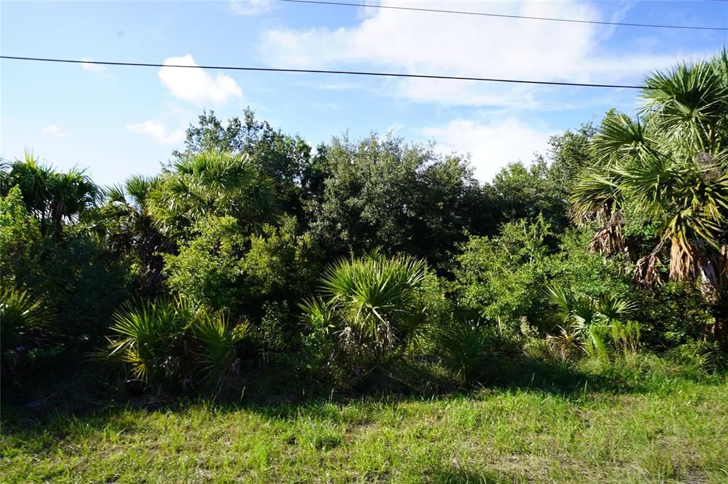 En Venta: $160,000 (0.64 acres)