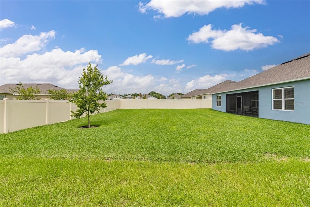 Oversized back yard