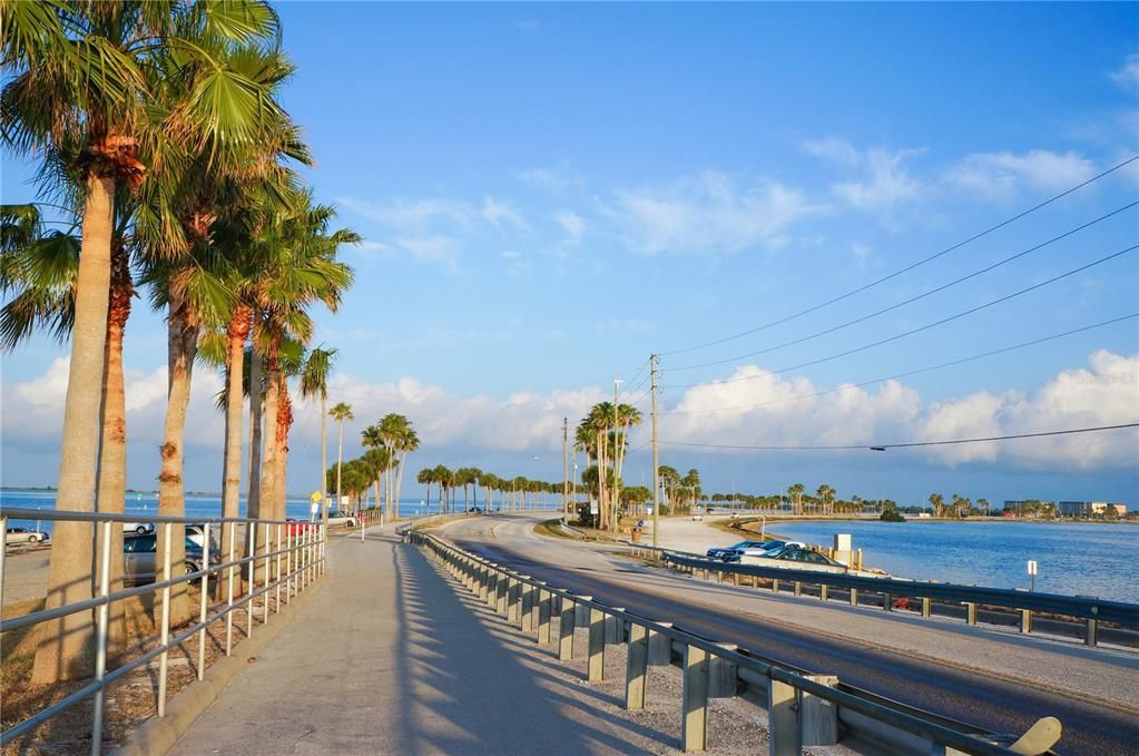 Dunedin Causeway