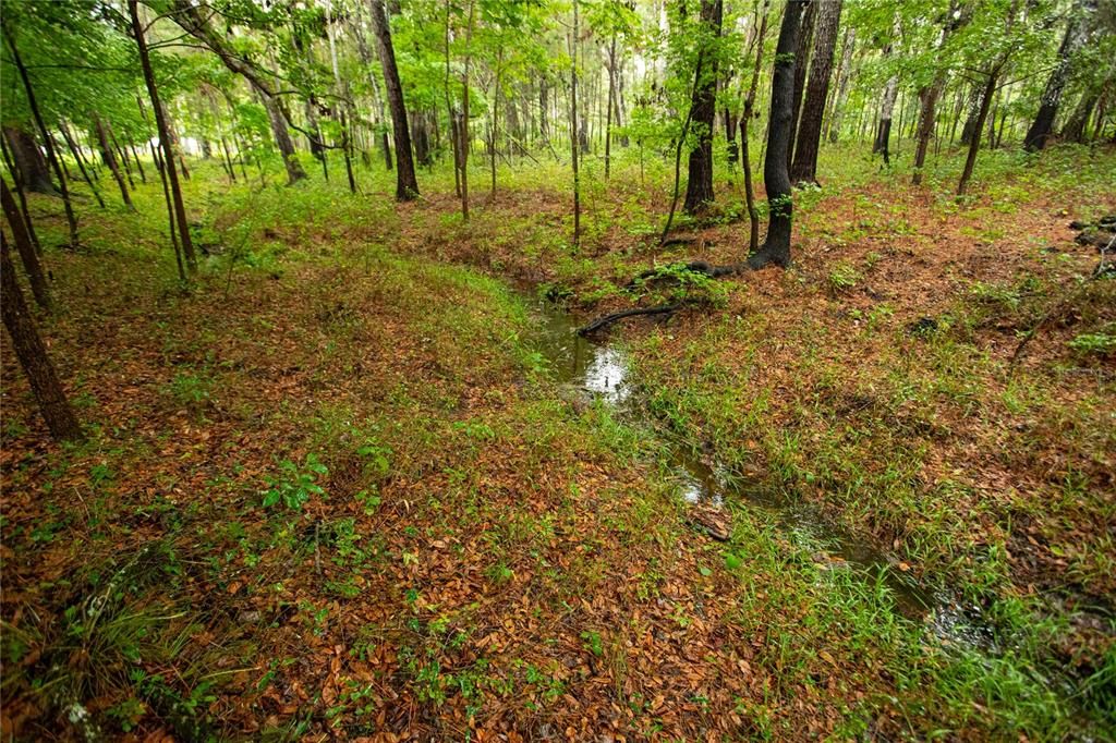 На продажу: $290,000 (6.60 acres)