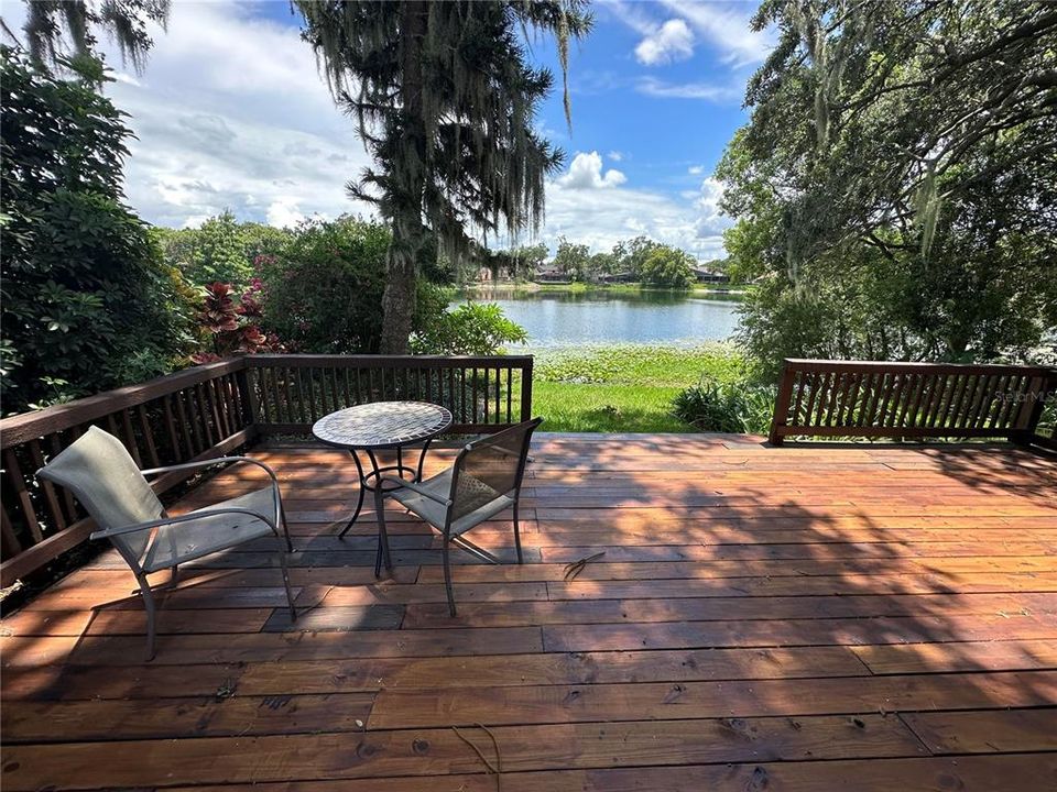 Backyard Deck