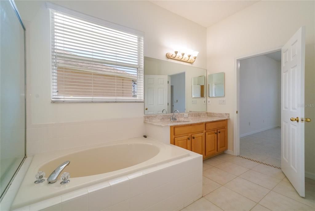 primary bath has large vanity, glass-enclosed shower, and a luxurious garden tub.