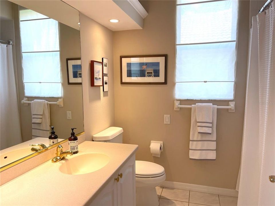 Guest bathroom